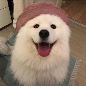 Meet your Posher, Claire